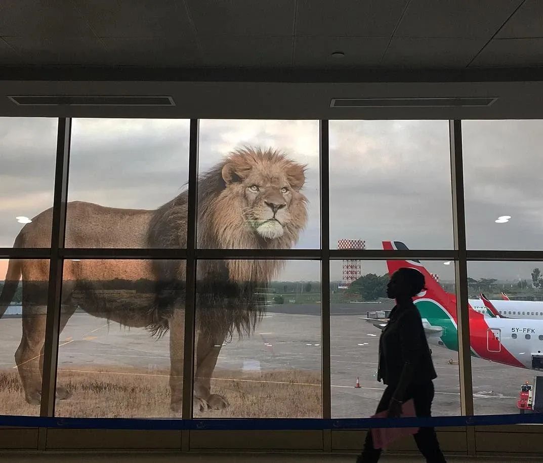 肯尼亚入境到坦桑，再返回肯尼亚怎么填写逗留时间？